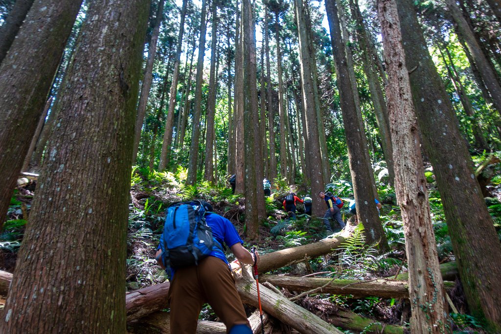 DSC05183-編輯.JPG