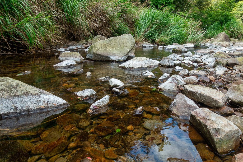 DSC05244-編輯.JPG