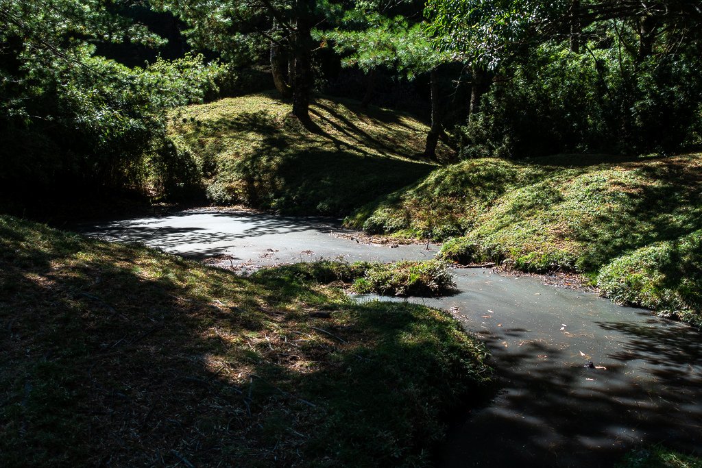 DSC01665.JPG