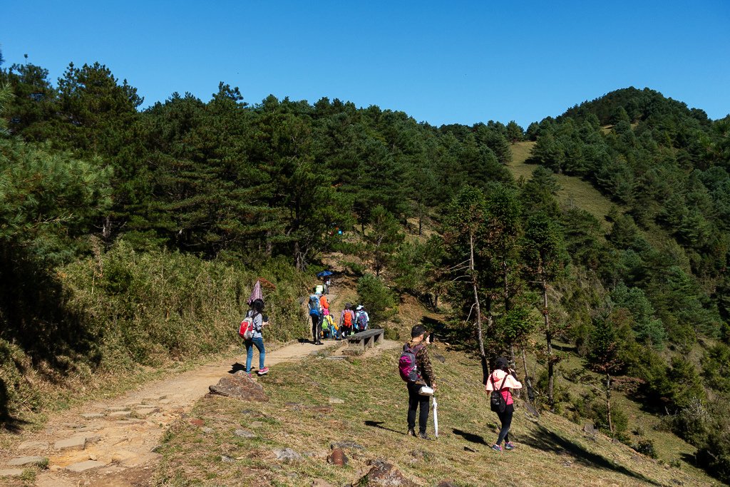 DSC01743.JPG