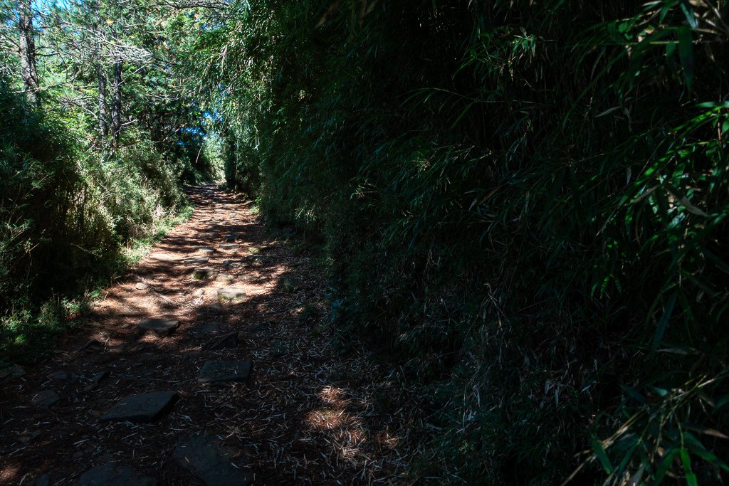 DSC01774.JPG