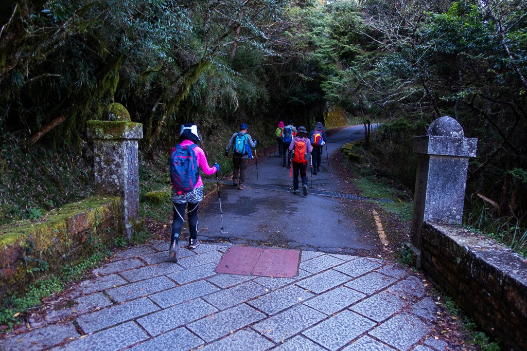 DSC01880.JPG