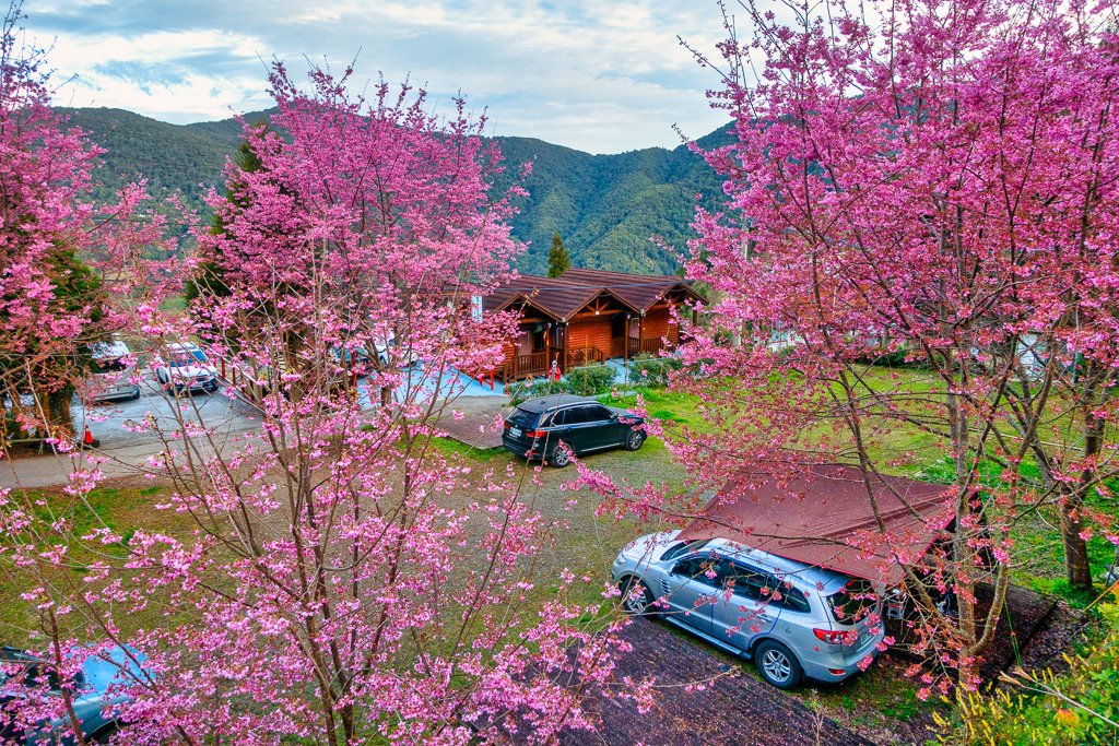 DSC07707-編輯.jpg
