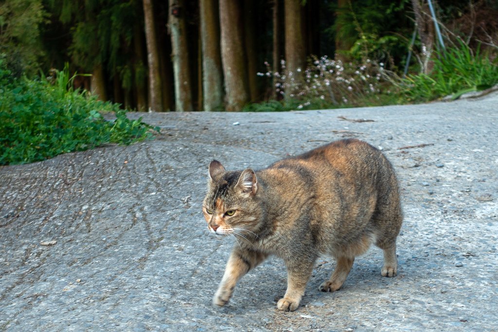 DSC07730.jpg
