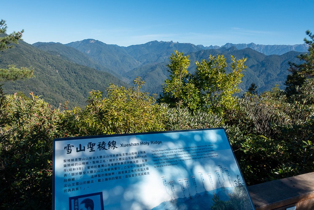 DSC03555.jpg