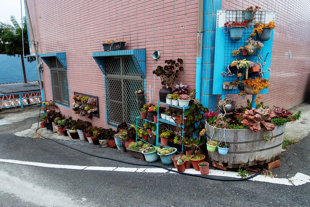 DSC04050.jpg