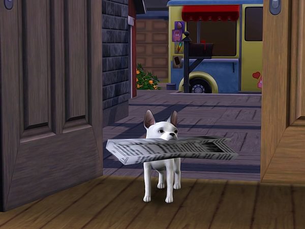 Screenshot-33-1.jpg