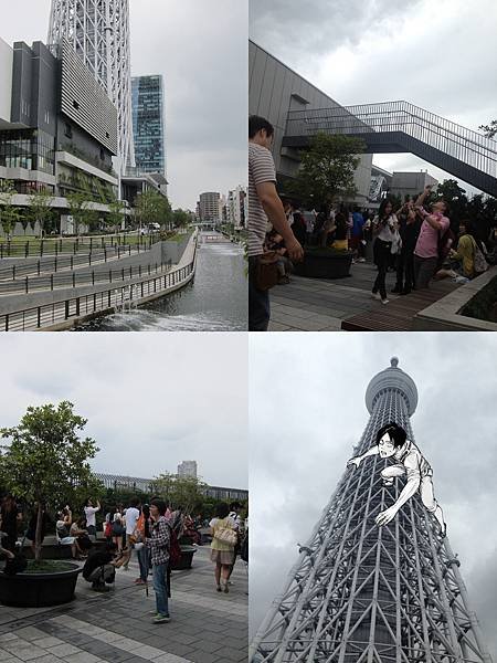 SKY TREE