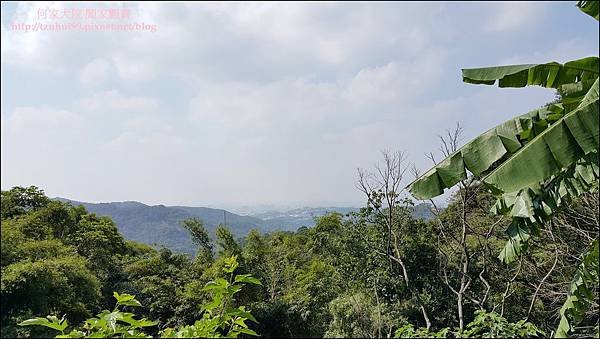 桃園龜山大棟山阿香土雞城 01.jpg