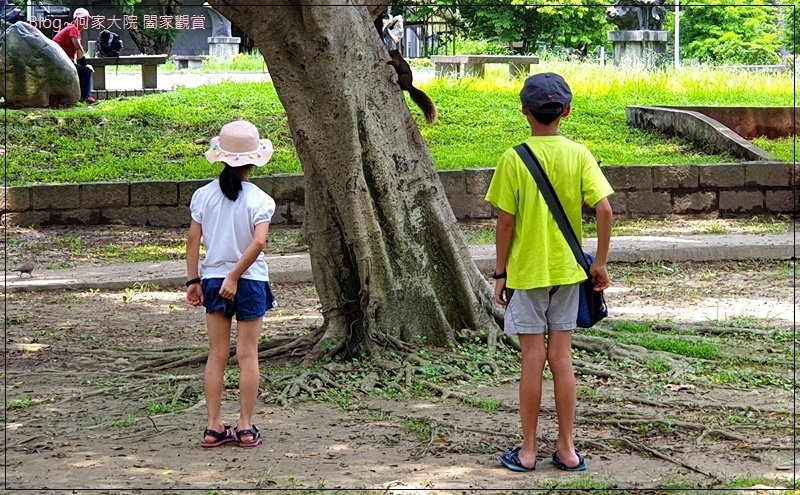 台北青年公園交通教學區(特色公園+交通主題+親子景點) 16.jpg