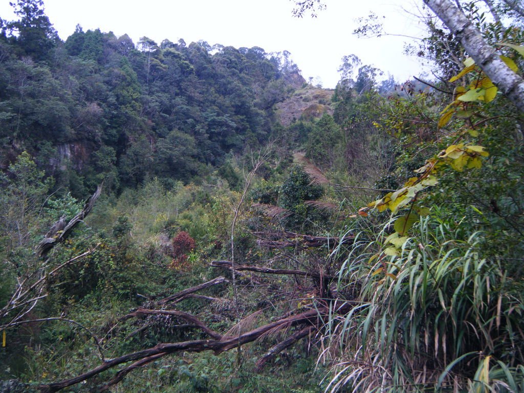 舊河道附近