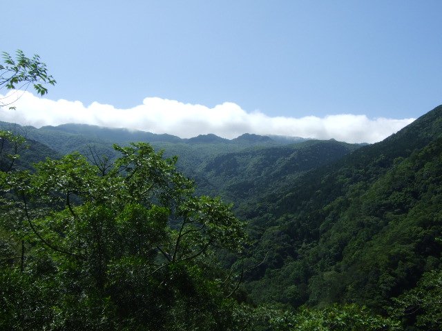 產道登山口遠眺