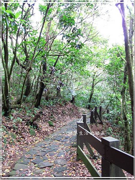 20131109 魚路古道02