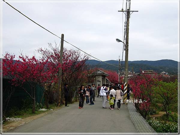 20140202 平菁街09
