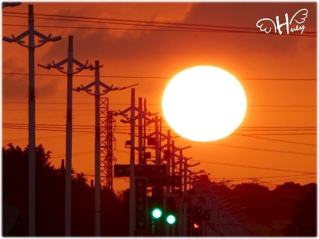太陽