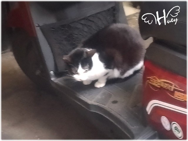 慶爾喜無人自動入住旅店