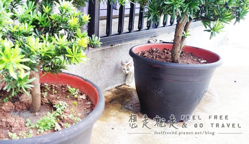 IMAG0943_结果_结果.jpg
