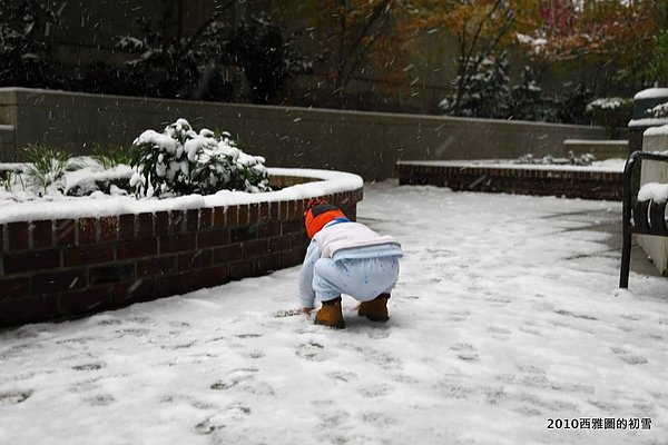 snowing14.JPG