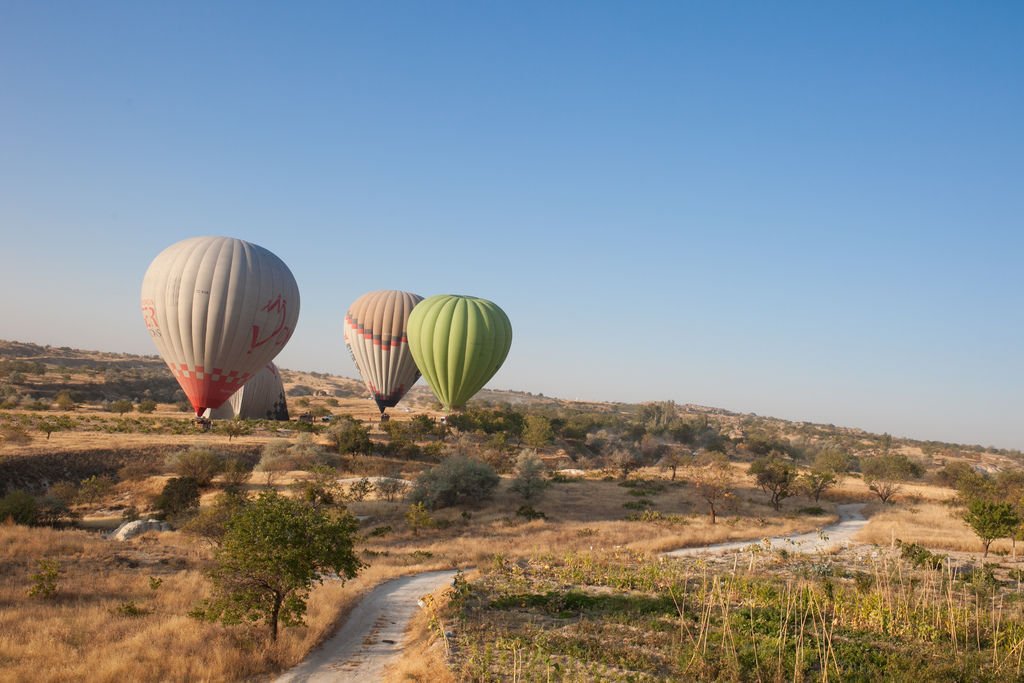 IMG_3092Turkey balloons