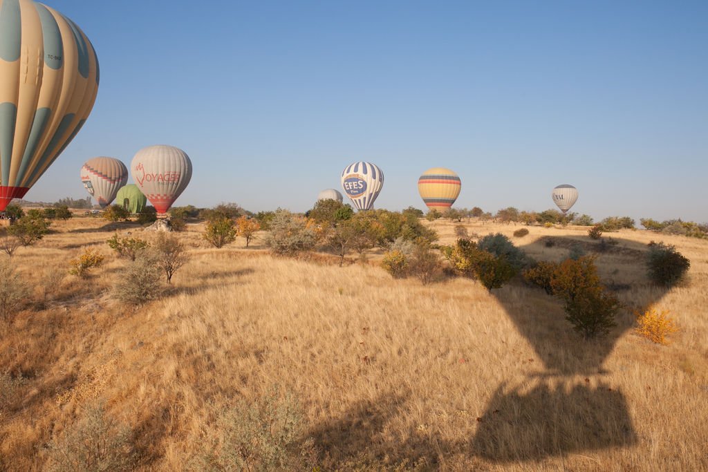 IMG_3103Turkey balloons
