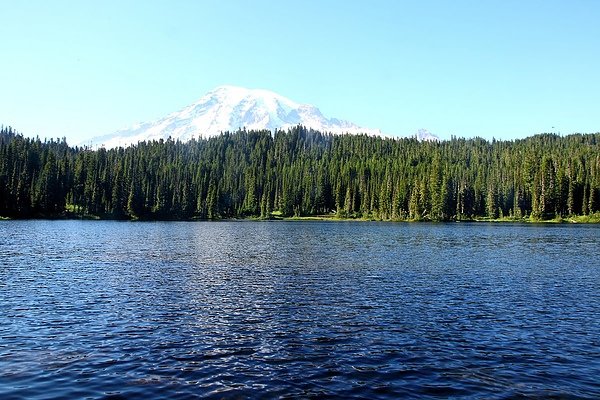 Mt Rainier61.JPG