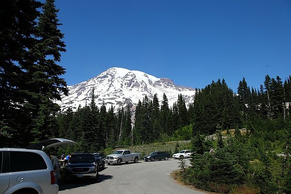 Mt Rainier04.JPG