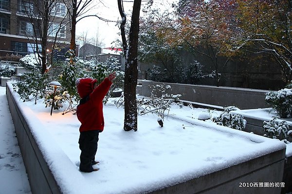 snowing40.JPG