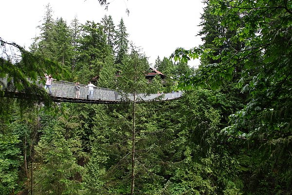 Vancouver-capilano bridge092.JPG