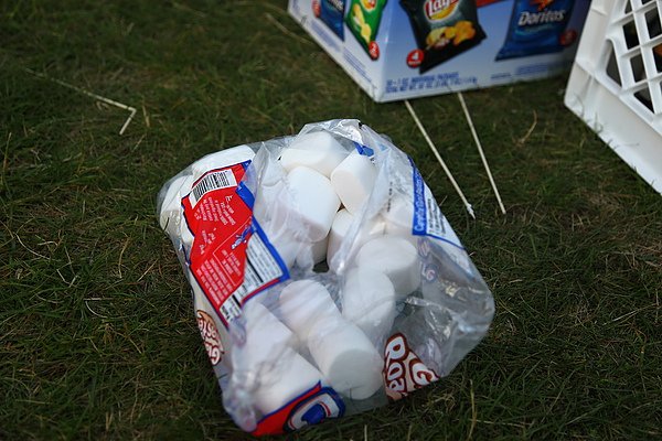 Astoria Camping-KOA73.JPG