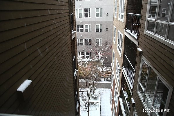 snowing10.JPG