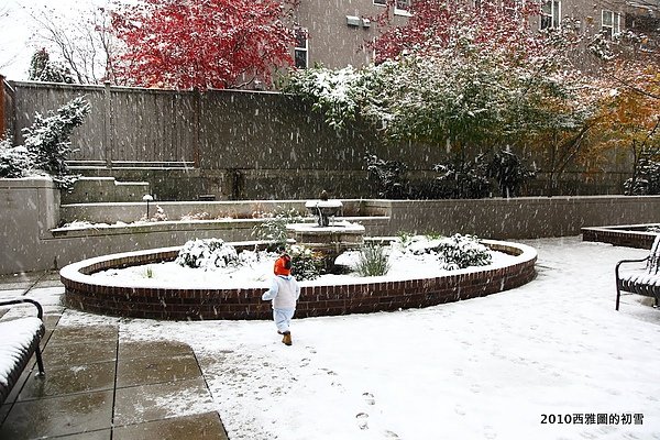 snowing11.JPG