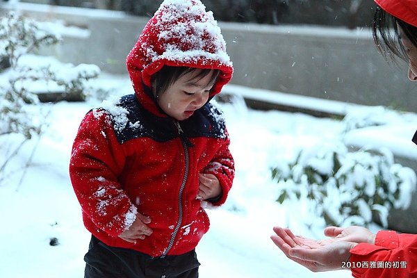 snowing48.JPG
