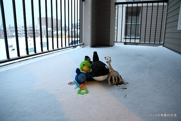 snowing54.JPG