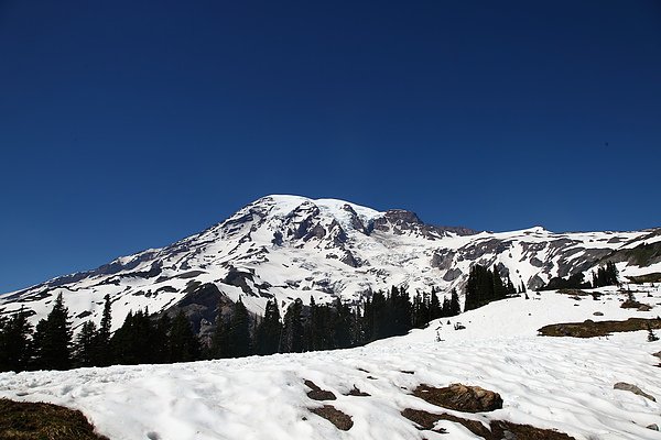 Mt Rainier28.JPG