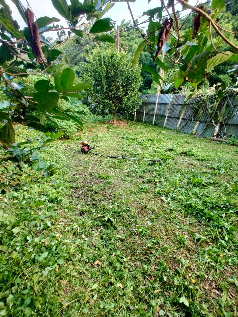 IMG20210826174932.jpg