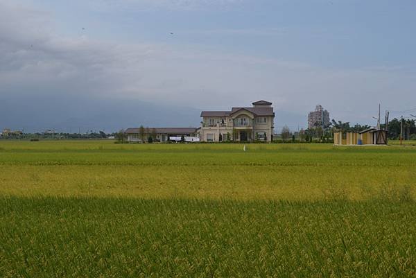 DSC_0929.JPG