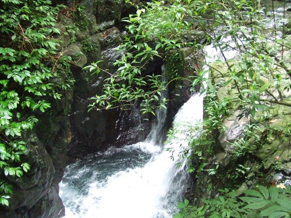 DSCF2337.JPG