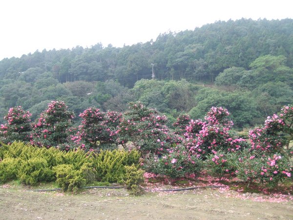 DSCF2418.JPG