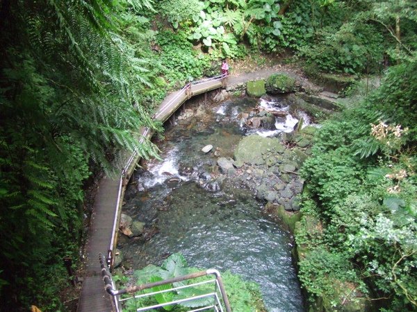 DSCF2336.JPG