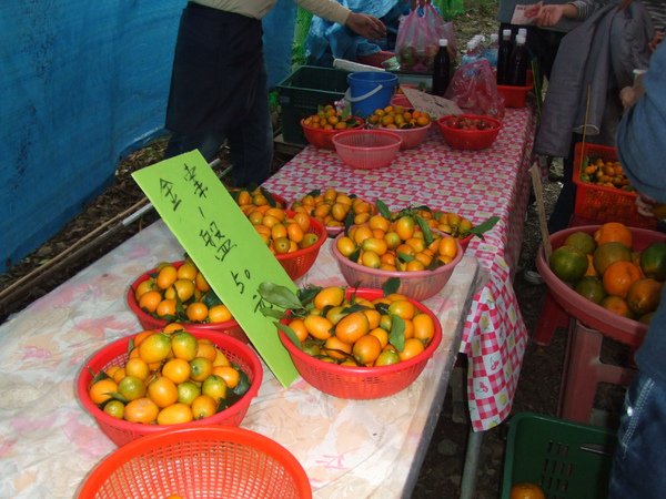 DSCF2359.JPG