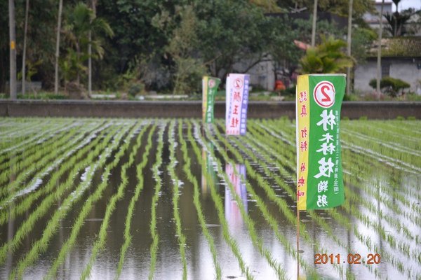 2011年春耕 