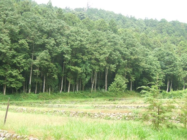 DSCF2205.JPG