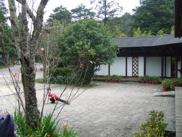 DSCF2199.JPG