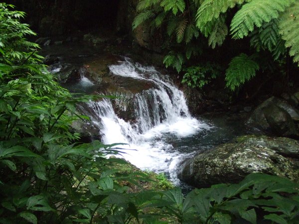 DSCF2319.JPG
