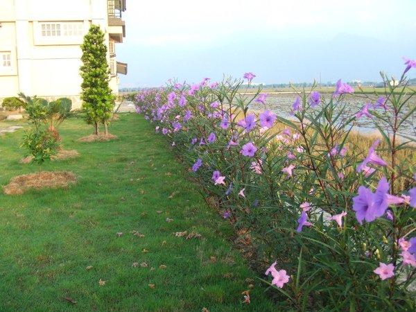 DSCF2048.JPG