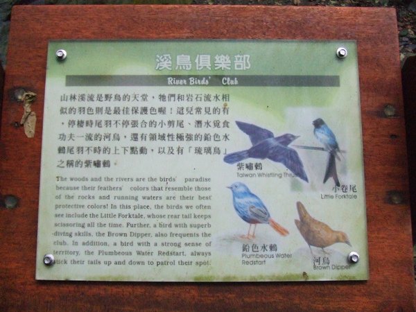 DSCF2327.JPG