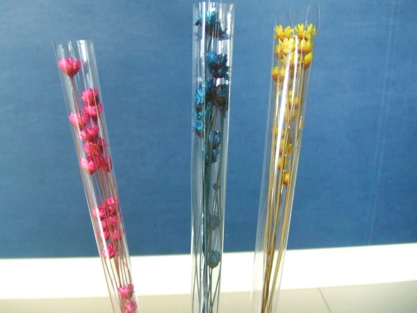 DSCF2287.JPG