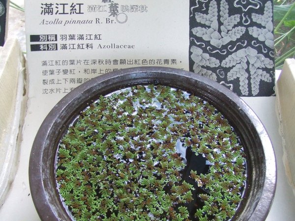 DSCF2161.JPG