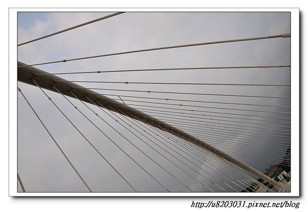 nEO_IMG_DSC_0005.jpg