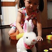 IMG_7554.JPG